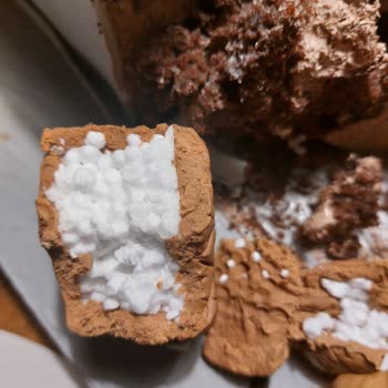 Tatlı Hayat Pasta Tasarım Pastada Şeker Hamurunun İçinde Yenilebilir Olmayan Plastik Malzeme!