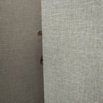 Yön AVM İlgisizlik Ürün Değişimi Olacak Diye