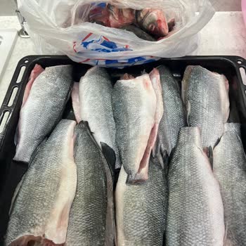 Carrefour SA Kötü Hizmet, Yazık