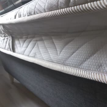 Bellona Yatağının Yan Tarafındaki Pet Kaymış Dediler