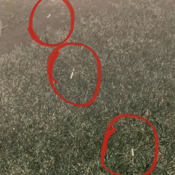 Kordon İstanbul Site Yönetimi Yönetimi Şikayet Hk. Önemli