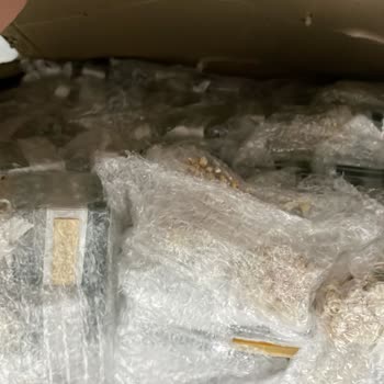 Selen Tasarım & Organizasyon Mağduriyeti!