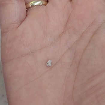 Bingo Toz Deterjan Sahte