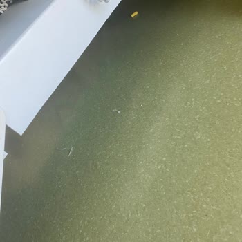 Kayseri Şehir Hastanesi Temizlik Personeli Temizlik Yapmıyor