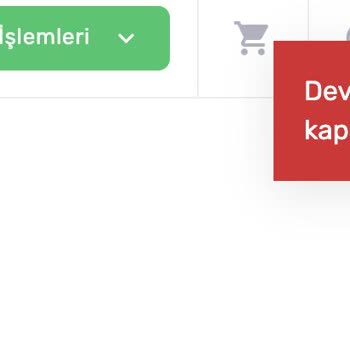 Web Arısı Hosting'te Domain'imi Geri Alamıyorum