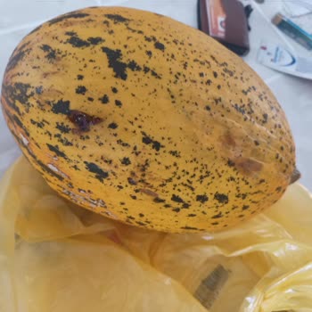 Şok Marketler Çürümüş Ürünleri