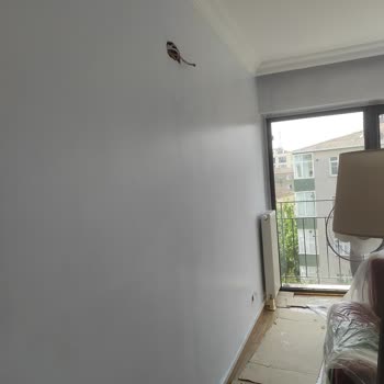 Dyo Tülden Boya Renginin Farklı Olması