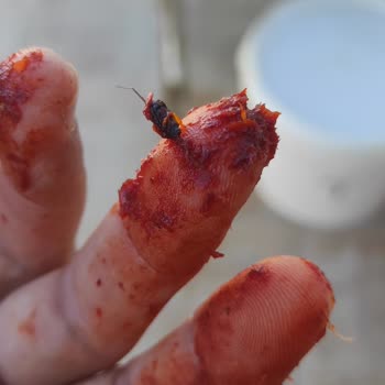 Fıstıkçı Şahap Bey Bozuk Kusurlu Ürün Satıp İadede Zorluk Çıkarması