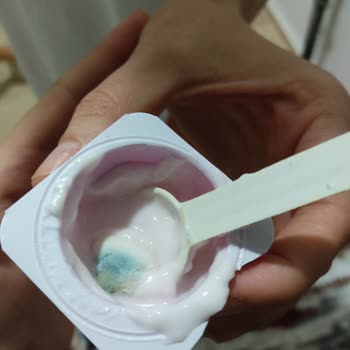 A101'den Aldığımız Danone Yoğurt Küflü Çıktı!