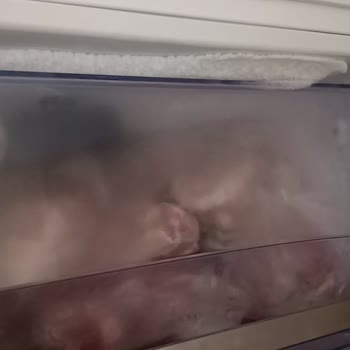 Simfer Derin Dondurucu Kapak