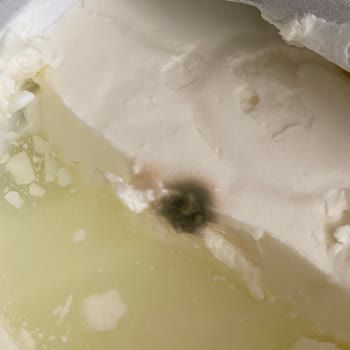 Sütaş Labne Buzdolabında Küflendi