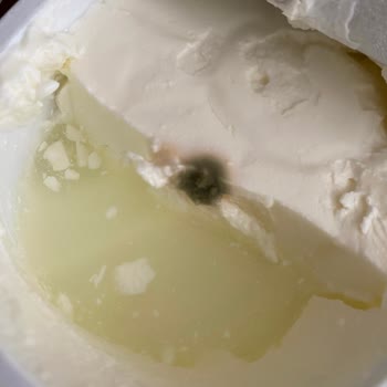 Sütaş Labne Buzdolabında Küflendi