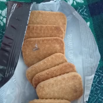Eti Gıda Bisküvinin İçinden Böcek Çıktı