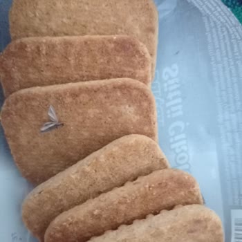 Eti Gıda Bisküvinin İçinden Böcek Çıktı