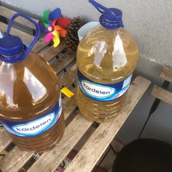 Sular Sapsarı Akıyor (İSKİ)