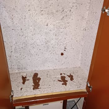 Sun Fire Beach Hotel Çok Kötü