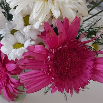 Menekşe Çiçekçilik (Kırşehir) Buket Özensiz, Çicekler Solgun Yaprakları Dökük Uçları Çürümüş