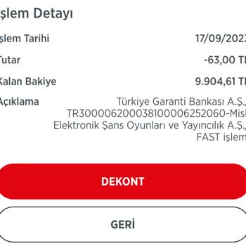 misli EFT Yaparken T. C. Numaramı Yazmayı Unuttum