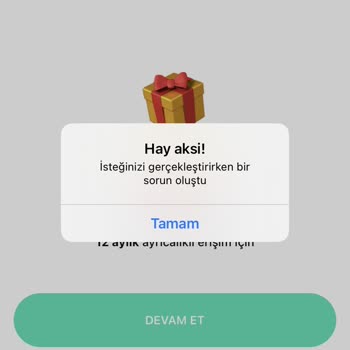Betterme Duvar Plates 4 Haftalık Planım Görünmüyor