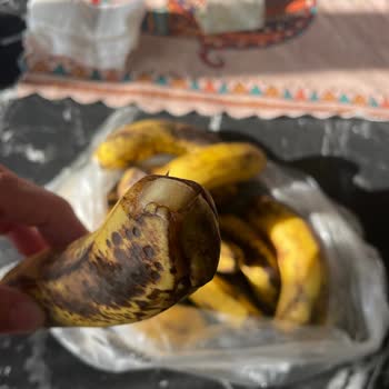 Cepte Şok Çürük Ürün