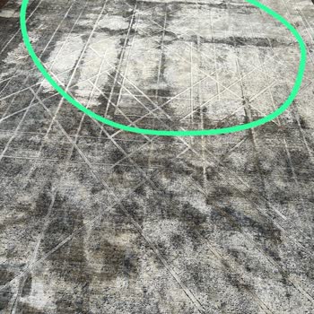 Ümit Dağcı Halı Yıkama Pişman Etti