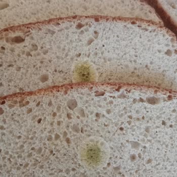 Nimet Gıda Son Kullanma Tarihi Geçmemiş Olmasına Rağmen Küflenmiş Ekmek