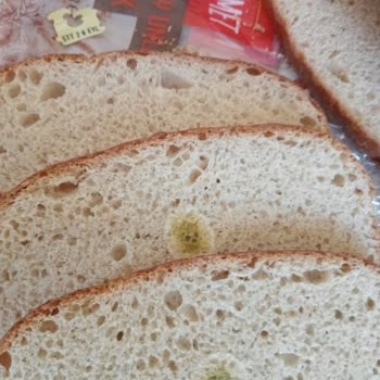 Nimet Gıda Son Kullanma Tarihi Geçmemiş Olmasına Rağmen Küflenmiş Ekmek