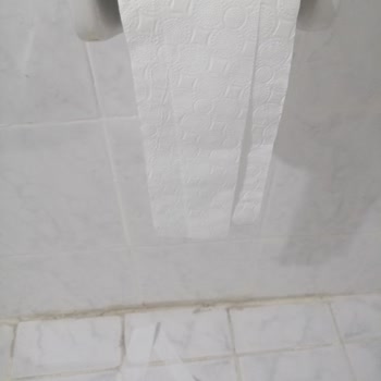 Familia Tuvalet Kağıdı Bozuk Çıktı