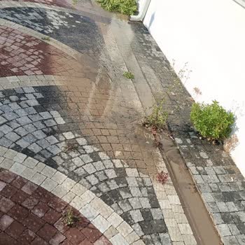 Saski'ye Defalarca Kayıt Oluşturduk Ama Hiçbir İlgi Alaka Yok