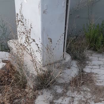 Türk Telekom Bakımsız Pano Ve Yetersiz Hat
