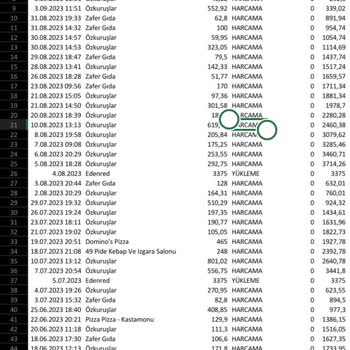 Ticket Restaurant Kart Harcaması Hesabımdan 2 Defa Düşüldü