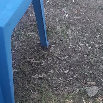 Aslan Park Bungalows Hotels Tatil Rezervasyonunda Yaşadığım Sorunlar