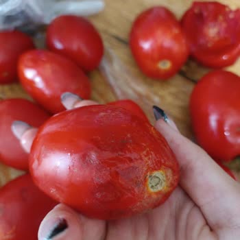 Şok Marketler Getirdikleri Sebze Çürüktü