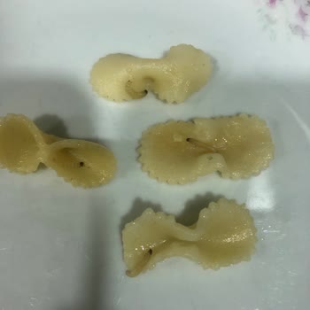 Mutlu Makarna Halk Sağlığı İle Oynamak Suçtur