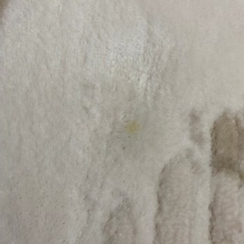 Beyaz Halı Yıkama (Antalya) Halıların Lekeli Teslim Edilmiş Olması