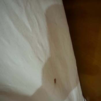 Doğa Otel Ve SSC Tur Şirketi Şikayetim