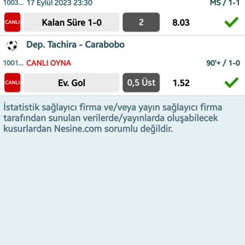 Nesine.com'da Yaşadığım Sorunlar