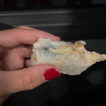 Shell Deli2go Sandviçinde Küf