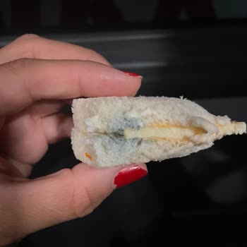 Shell Deli2go Sandviçinde Küf