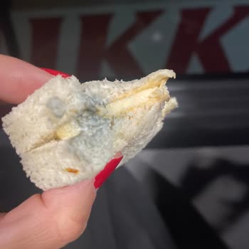 Shell Deli2go Sandviçinde Küf