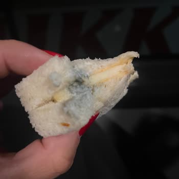 Shell Deli2go Sandviçinde Küf