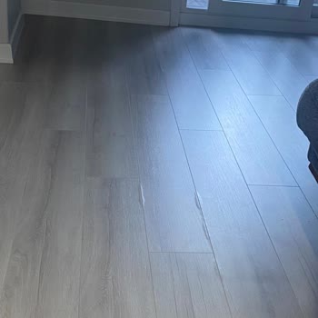 Çamsan Parke Laminat Parke Şişme