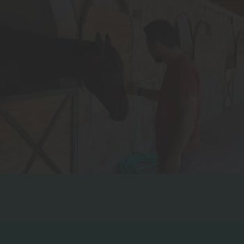 Instagram Hikayede Türkçe Şarkı Çıkmıyor