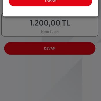 Ziraat Yatırım Ziraat Borsaya Para Aktaramama