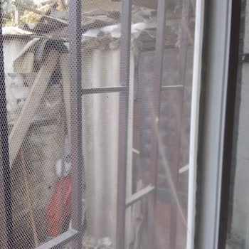 İstanbul Çevre Ve Şehircilik İl Müdürlüğü Sağlık Rahatsızlığı