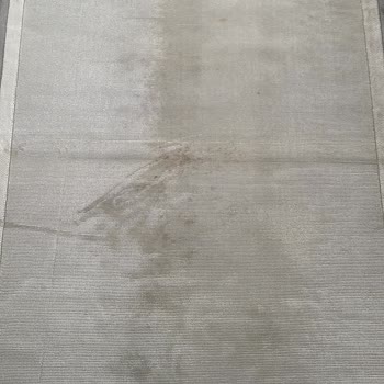 Venüs Halı Yıkama Temizlenmeyen Halının Parasını Talep Ediyorlar