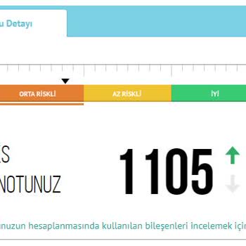 Findeks Kredi Puanımın 1105 Olmasına Rağmen Orta Riskli Grupta Görünmem