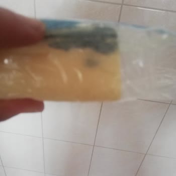 5 Günde Buzdolabında Küflenen Sütaş Kaşar Peyniri