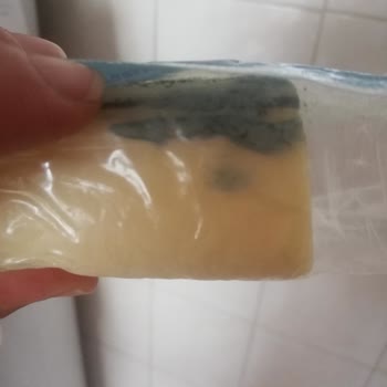 5 Günde Buzdolabında Küflenen Sütaş Kaşar Peyniri