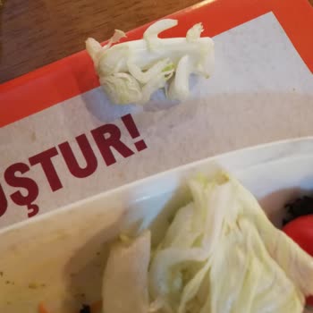Forum Diyarbakır Tavuk Dünyası Tam Bir Fiyasko